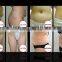 Portable cryo lipolysis fat freeze home cryolipolysis liposuction machine