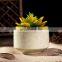 Macarons color flow glazed porcelain flower succulent pot