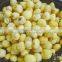 Top quality sweet potato roll brush peeling cleaning machine with cheap price