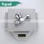 Rapsel Wall Chrome Brass Kitchen Bathroom Cold Water Faucet Bibcock