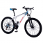 Hot selling high-quality 29 inch mountain bike can be customized