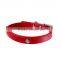 Letters selling separately classic can diy letters diy dog pet collar