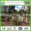 Discount Decorative Small Garden Grass Steel Fence/Fencing