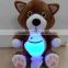 2014 Hot sale plush toy with a Velcro carrot with micro USB baby night light