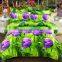 Factory Wholesale 4D Bedding Set