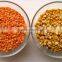 Best Quality DRIED Green Lentils | Red Lentils | Brown Lentils