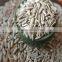 Vegetable Oil of Sunflower Kernels Oil