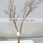 China supplier Natural color Artificial Dry Tree Branch