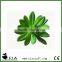 Popular Artificial Bonsai Echeveria Mini Succulent Plant in Jade Green