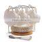 Bone China Tea Cup and Saucer Coffee Cup Set with Saucer and Spoon 20 pc