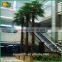 Wholesale artificial palm tree fiberglass artificial fan palm tree