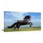 Horse Giclee Printing Canvas Painting Picture Livingroom Decor DWYS65