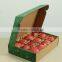 fresh apple fruit corrugated box export packaging