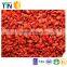 TTN sale 2015 new China ningxia dried goji berry price