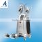 Vertical freeze fat instrument cryo lipolysis cryotherapy vacuum machine