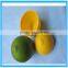 Lemon Shape Crisper Food Storage Box , Kitchen Crisper Set,Lemon Preservation Box