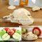 Freeze-Dried Natural Sweet Apple Slice