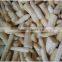 IQF Asparagus white and green tips and cuts