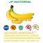 Banana puree powder manufacture ISO, GMP, HACCP, KOSHER, HALAL certificated