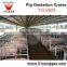 Pig Farm Equipment Sow Pig gestation crates Pig Equipment