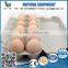 hot selling best quality 12 chicken eggs paper pulp carton