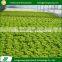 Multifunctional custom spain low cost agricultural plastic greenhouse