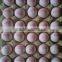 30 holes digital print machine/egg printer/Inkjet Printer