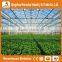 Heracles trade assurance greenhouse equipment- venlo type glass panels greenhouse for sale