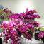 Hand Made Silk Flower for Decoration Orchid Artificial Flower