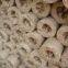 Welded Wire Mesh Factory