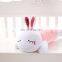 Wireless Rabbit Music Pillow Speakers