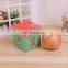 Apple fruit packaging boxes gift box packging for christmas