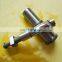 High Quality Diesel Fuel Plunger 2455 069