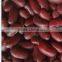 red kidney bean