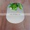3mm 4mm 5mm 6mm Full Length Silver Mirror Glass Supplier