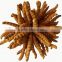 Pure Natural Healthcare Mycelia Cordyceps Sinensis Extract,Cordyceps Sinensis Polysaccharide