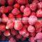AM13 Sweet Charlie Honey Frozen For Freshness Strawberries IQF