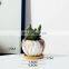 Popular Design Unique Small Ceramic Pots Indoor Circle European Mini Flowers Pot Set