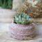 Ebay Hot Sold Circular Flower Pots Indoor Outdoor Ceramic Bulk Concrete Cheap Plant Pot For Garden
