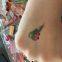 Fancy 4cm, 7cm Fruit Flavour Chewing Gum Tatoo Chicle Tatoo Bubble Gum in Bags, Jars