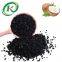 2025 Granular Activated Charcoal Coconut Shell Based Activated Carbon In Water Treatment Price Per kg