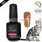 [Neuer Produkt] 2015 Fashion salon professional cat eye color gel nail polish, free sample nail gel, led uv gel 15ml Gellack