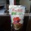 70g Tomato Paste 22-24 tomato paste factory