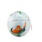 promotional cheap custom inflatable beach ball