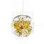 100 W Tangle Globe Suspension Lights Glass Ball Lighting with Gold / Chrome Color