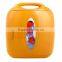 Cooling and warming 8L Mini car Refrigerator