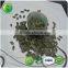 Best Selling Products Types of Dark Green Pumpkin Seeds Kernel Pumpkin Seeds GWS