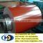 popular /colourful pre-painted galvanized steel sheet