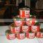 70gram Size Canned Tomato Paste for East Europe