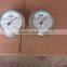 Good Pressure Gauge 250Mpa